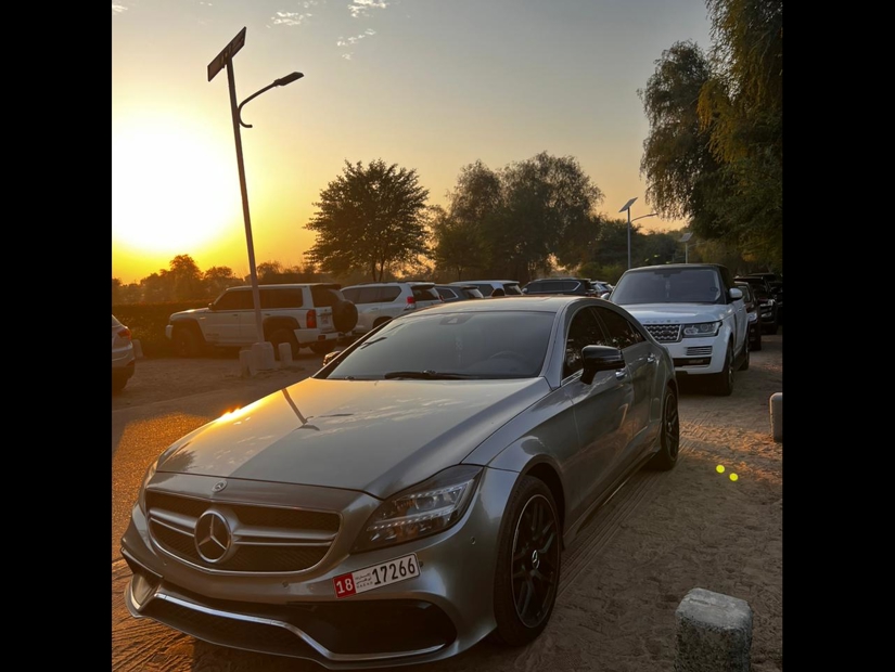 2013 Mercedes-Benz CLS-Class